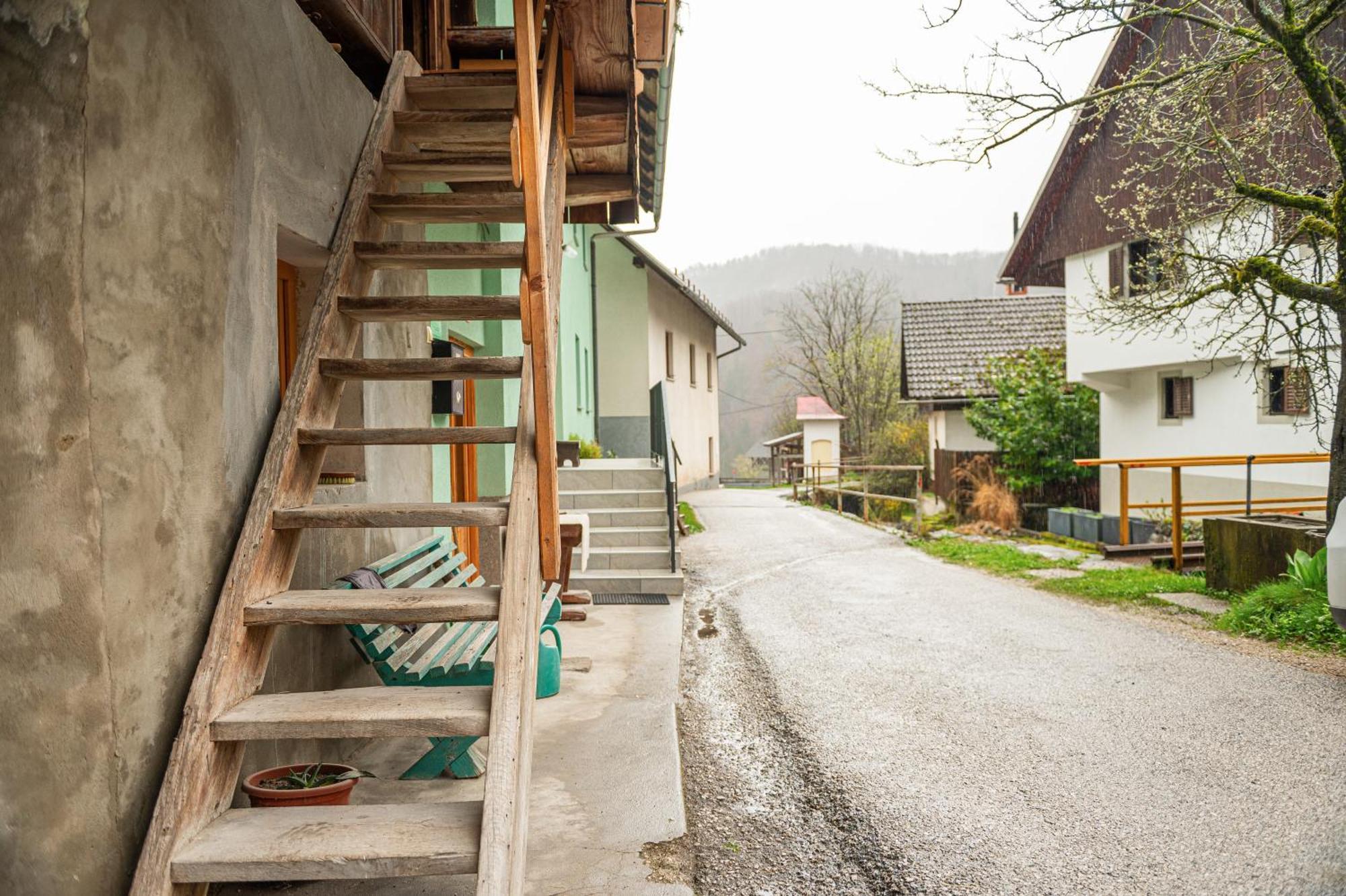 Zelena Hisa Pri Bjov Lägenhet Bohinjska Bela Exteriör bild
