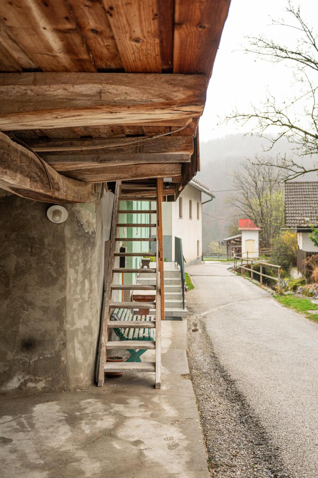 Zelena Hisa Pri Bjov Lägenhet Bohinjska Bela Exteriör bild