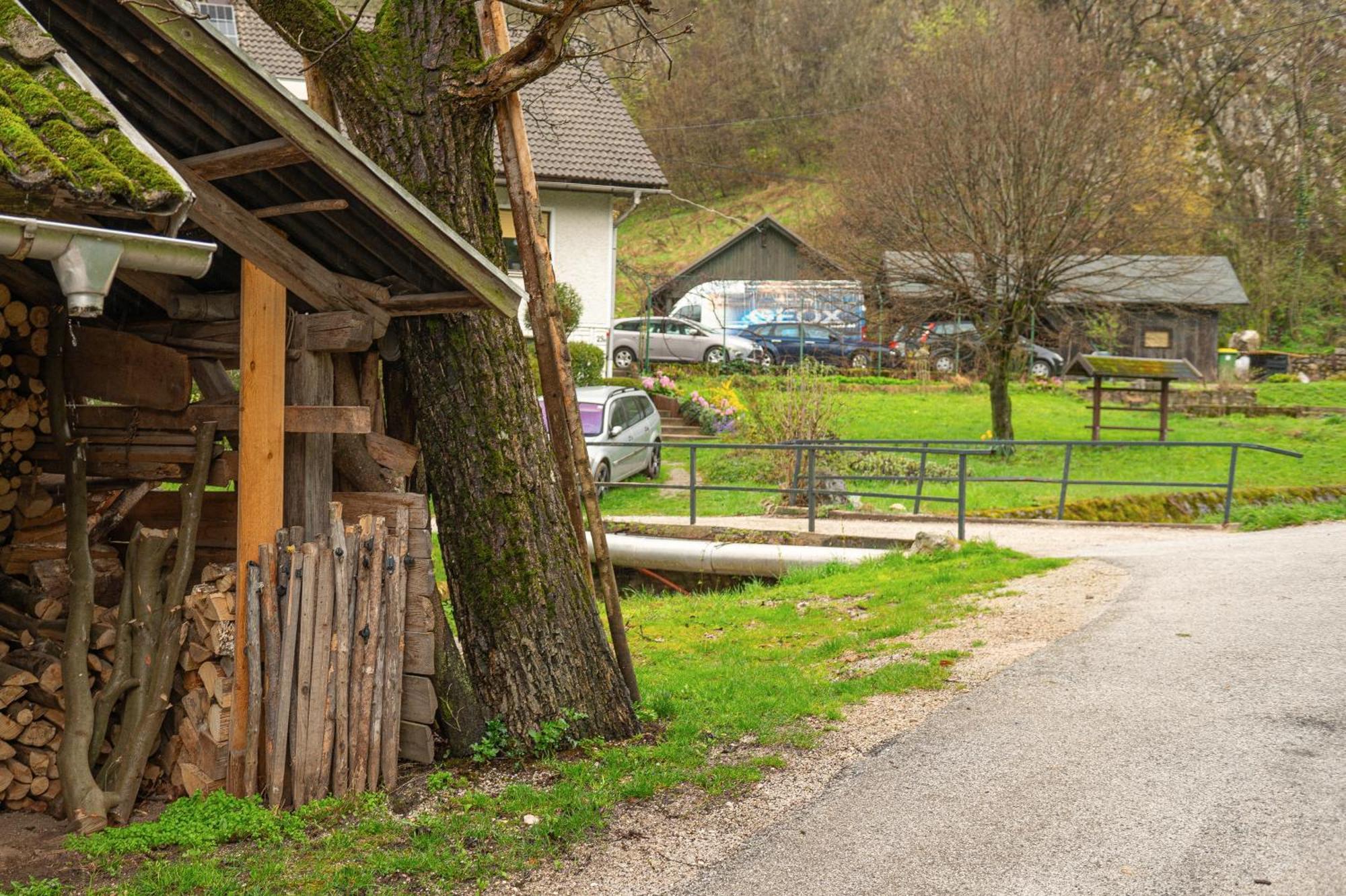 Zelena Hisa Pri Bjov Lägenhet Bohinjska Bela Exteriör bild