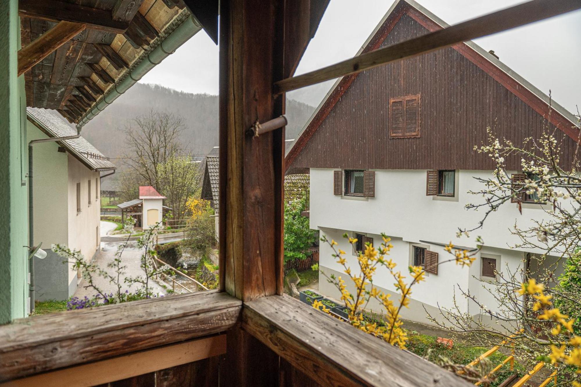 Zelena Hisa Pri Bjov Lägenhet Bohinjska Bela Exteriör bild